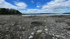Una costa rocosa con un lago tranquilo y árboles lejanos bajo un cielo parcialmente nublado.