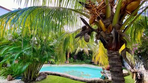 Pool - Independent studio in Casa del Sol Cancun  (Cancún)