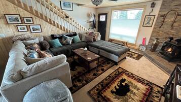 TV connectée, cheminée, livres, chaîne hi-fi