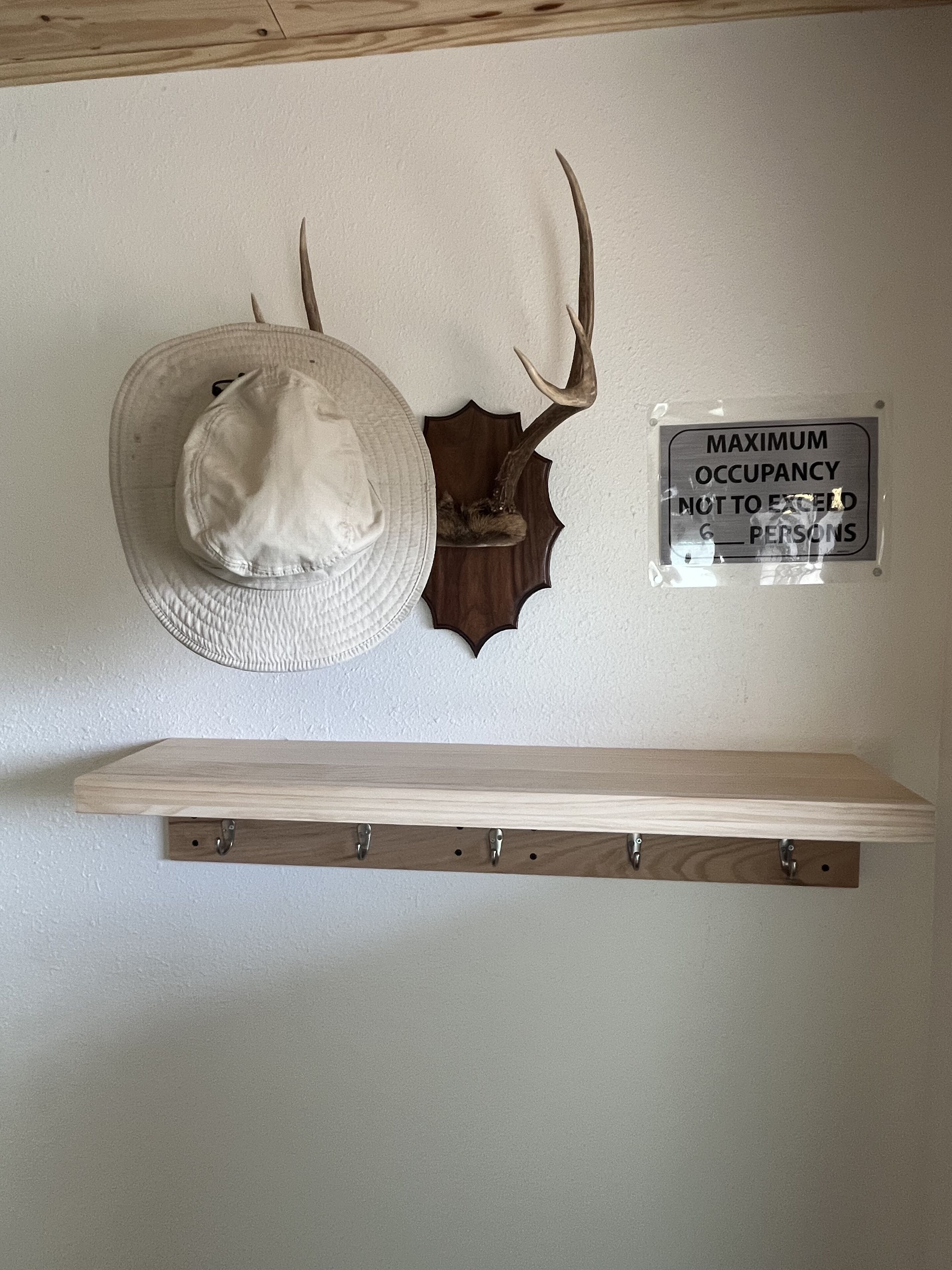 A wall-mounted deer head with antlers, a white hat, and a sign indicating a maximum occupancy of 6 persons.