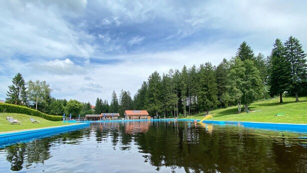 A swimming pool with a blue deck, surrounded by trees and a clear sky.