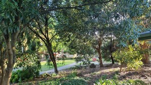 A lush garden with various plants and trees, a pathway, and a building in the background. - Beautiful lakeside unit, walk to train station, schools and Eastland (Ringwood East)