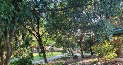 Beautiful lakeside unit, walk to train station, schools and Eastland