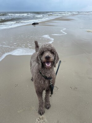 On the beach, beach towels