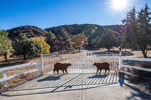 Property grounds - Charming 3-bedroom house with WiFi, AC in lovely Lake Hughes (Lake Hughes)