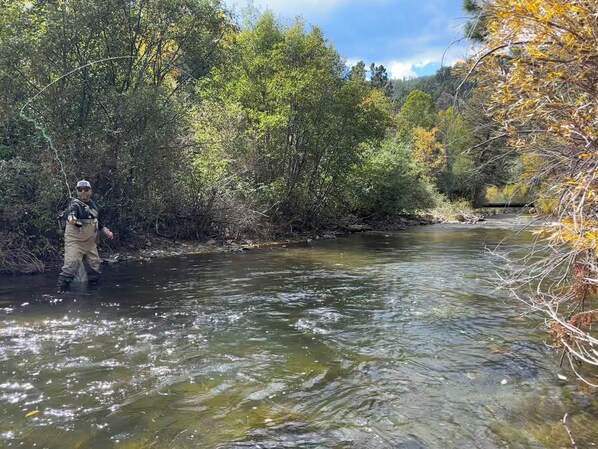 Una persona de pie en un río rodeada de abundante follaje.
