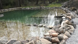 Ein natürlicher Teich, umgeben von einem steinernen Rand und Kieselsteinen.