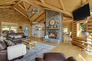 Smart TV, fireplace, books