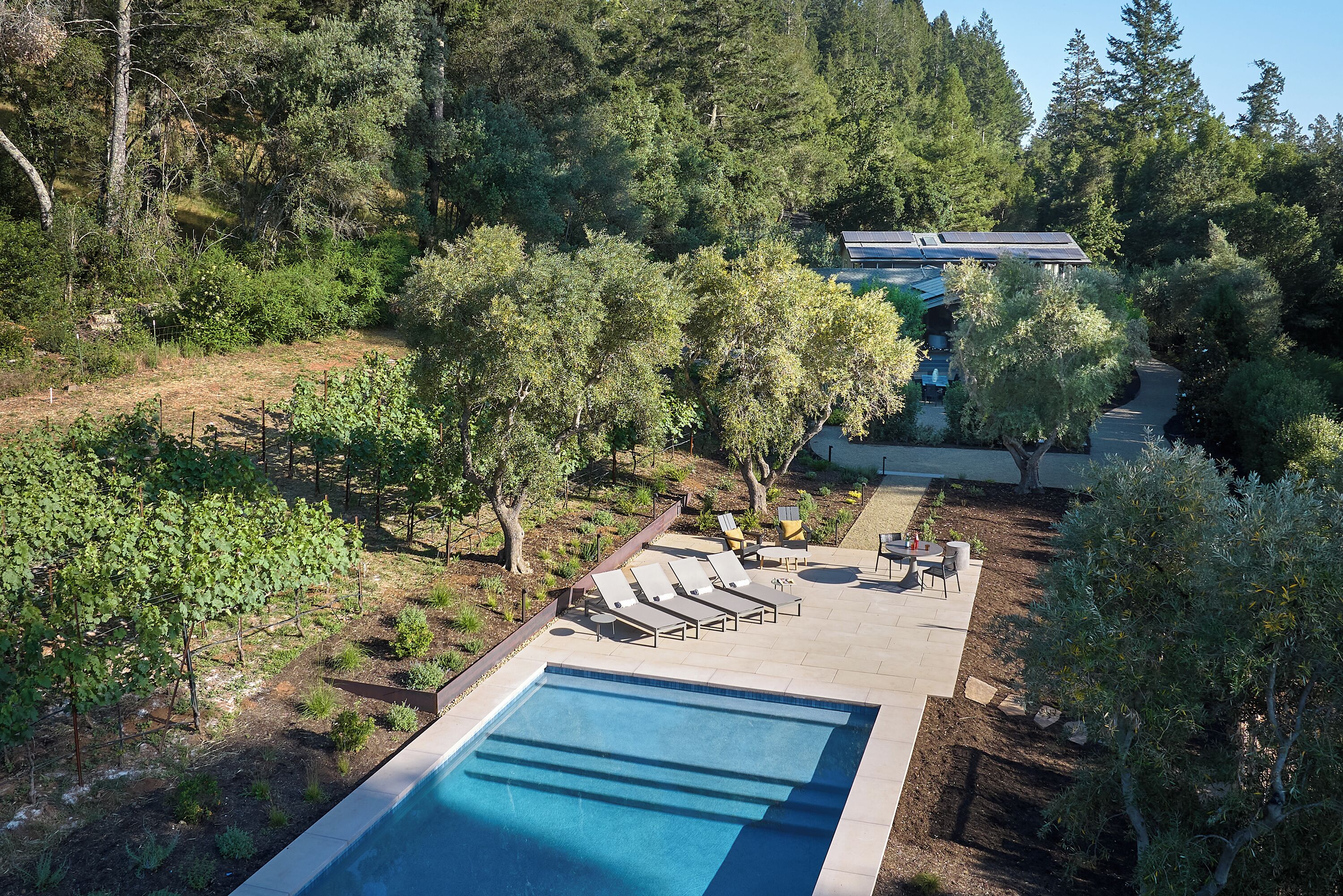Una piscina con sillones de descanso, un patio y una casa rodeada de árboles.