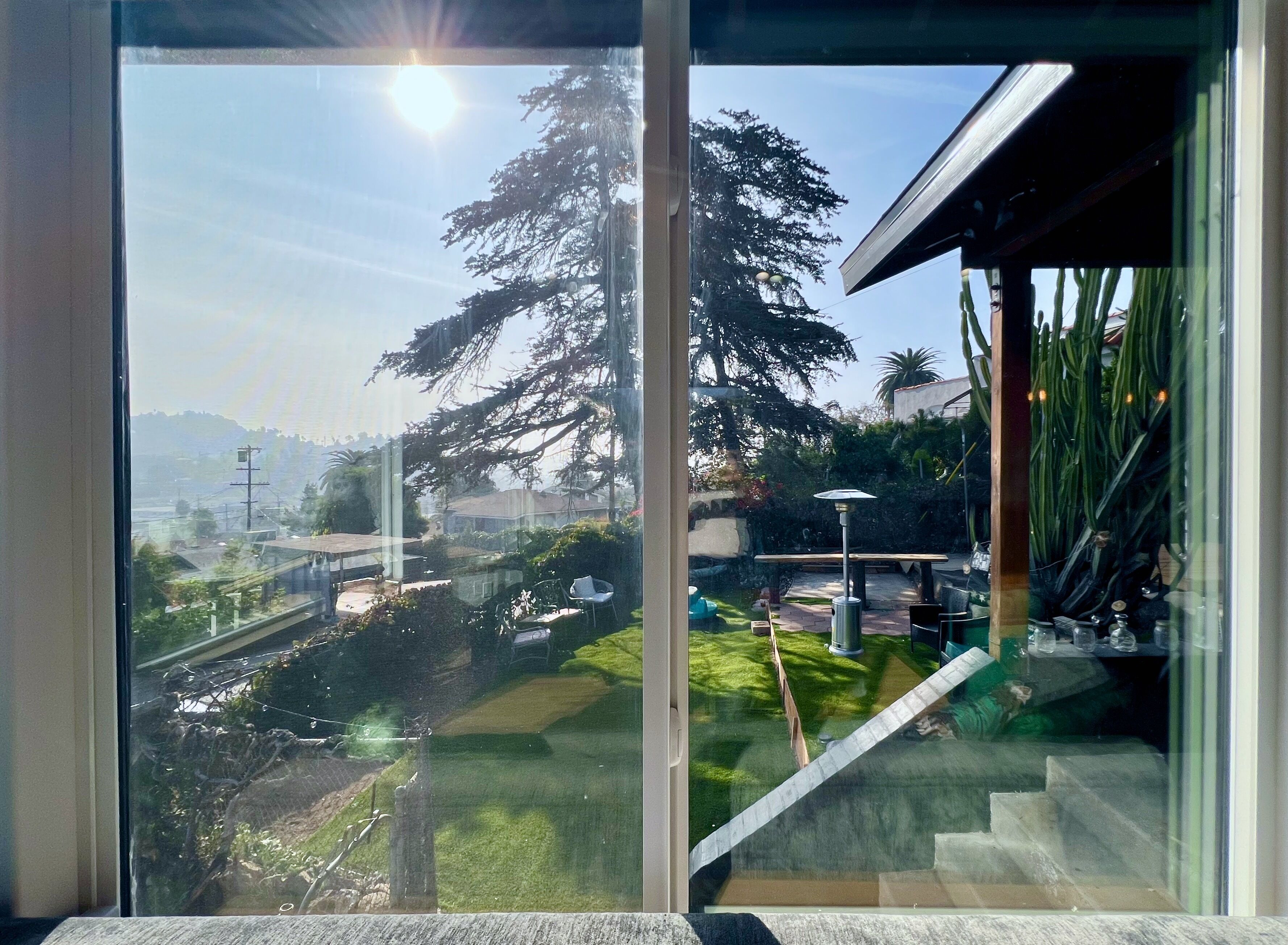 Une vue depuis une fenêtre, avec un ciel dégagé, un grand arbre et un jardin bien entretenu.