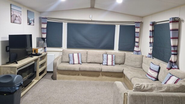 Un salon confortable avec un canapé, un téléviseur et un radiateur.