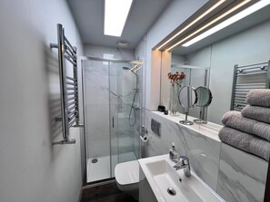 Shower, hair dryer, towels