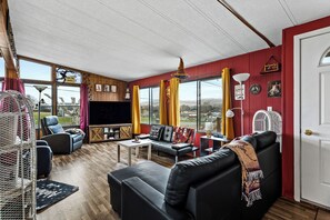 Smart TV, fireplace, books, video library