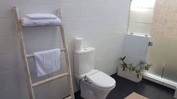 Shower, towels, soap, toilet paper