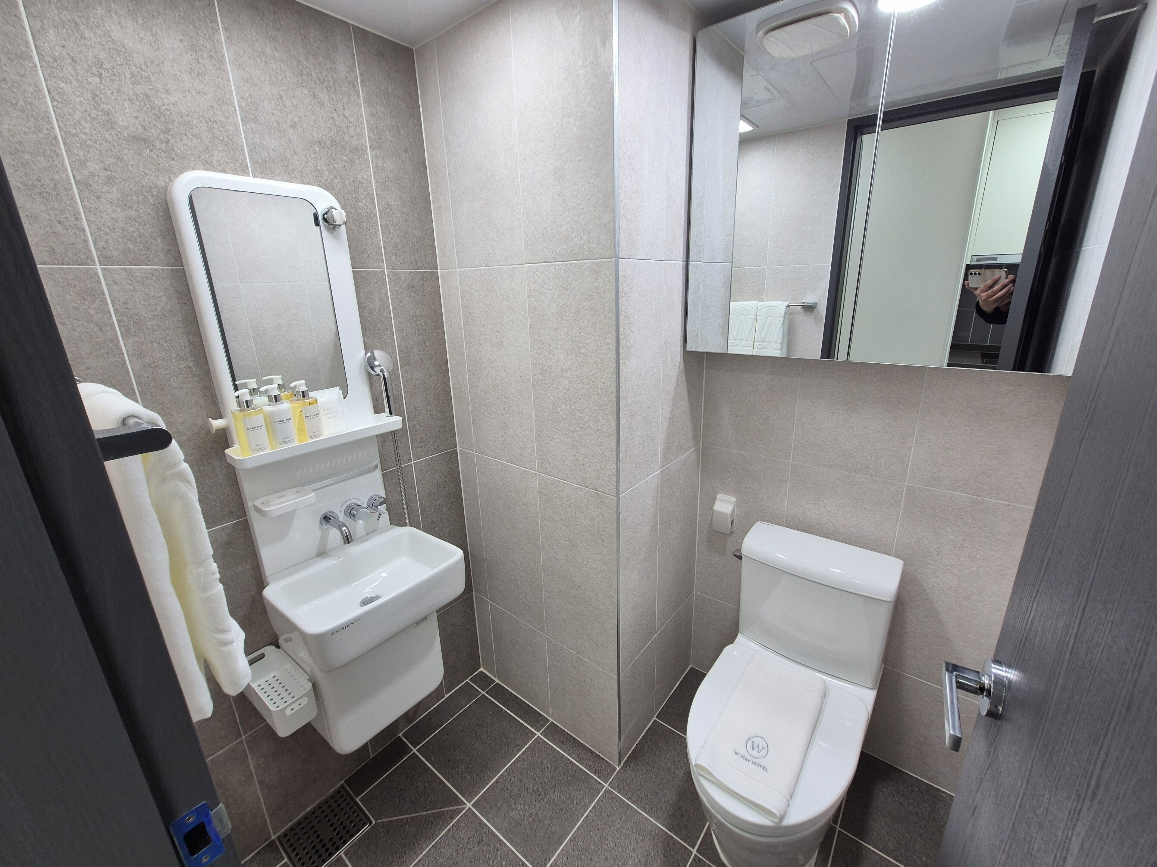 Un baño moderno con lavamanos, inodoro y un espejo sobre el lavamanos.