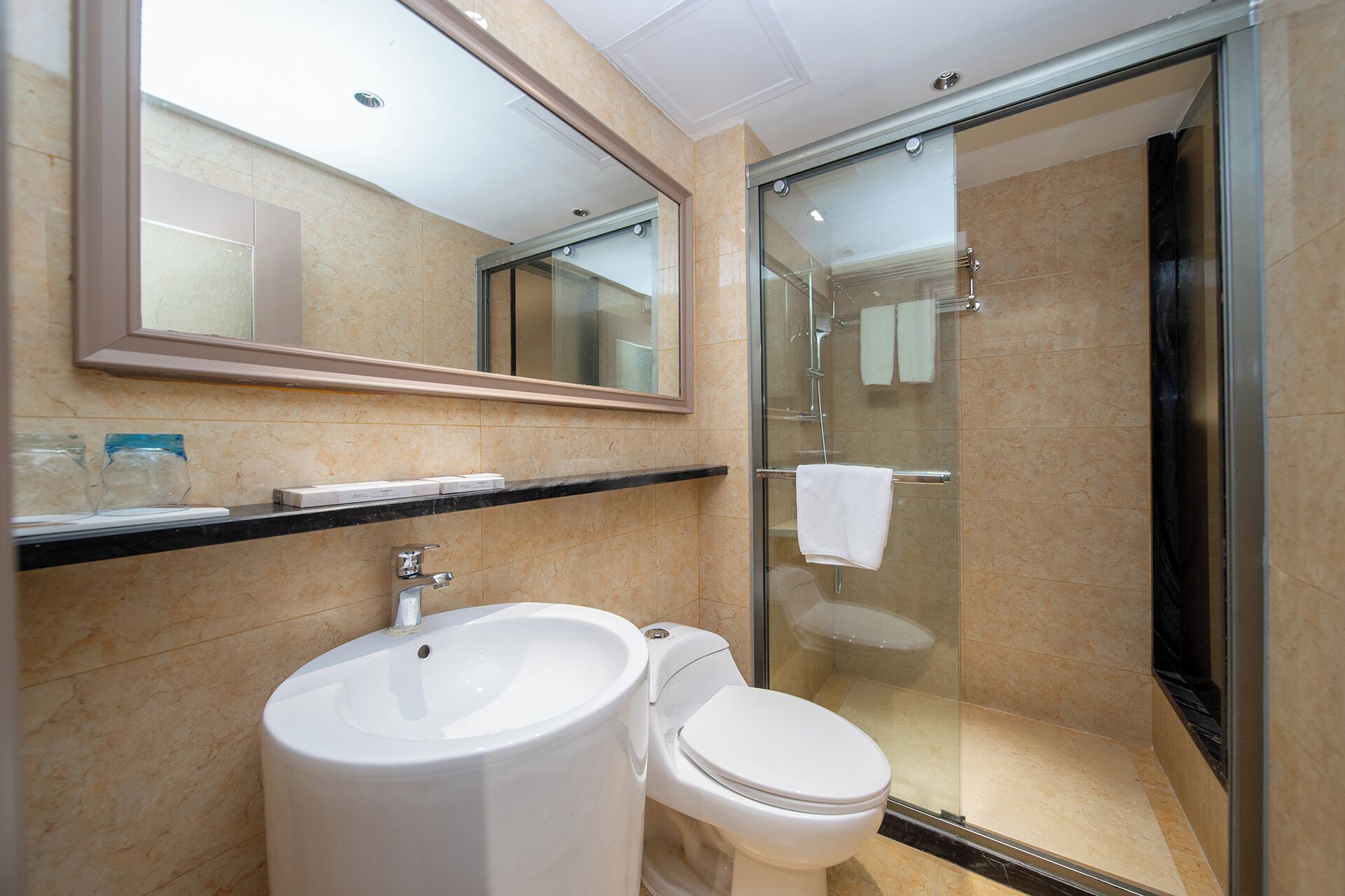 A modern bathroom with a glass shower enclosure, a white sink, and a toilet.