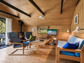 Fernseher, Kamin