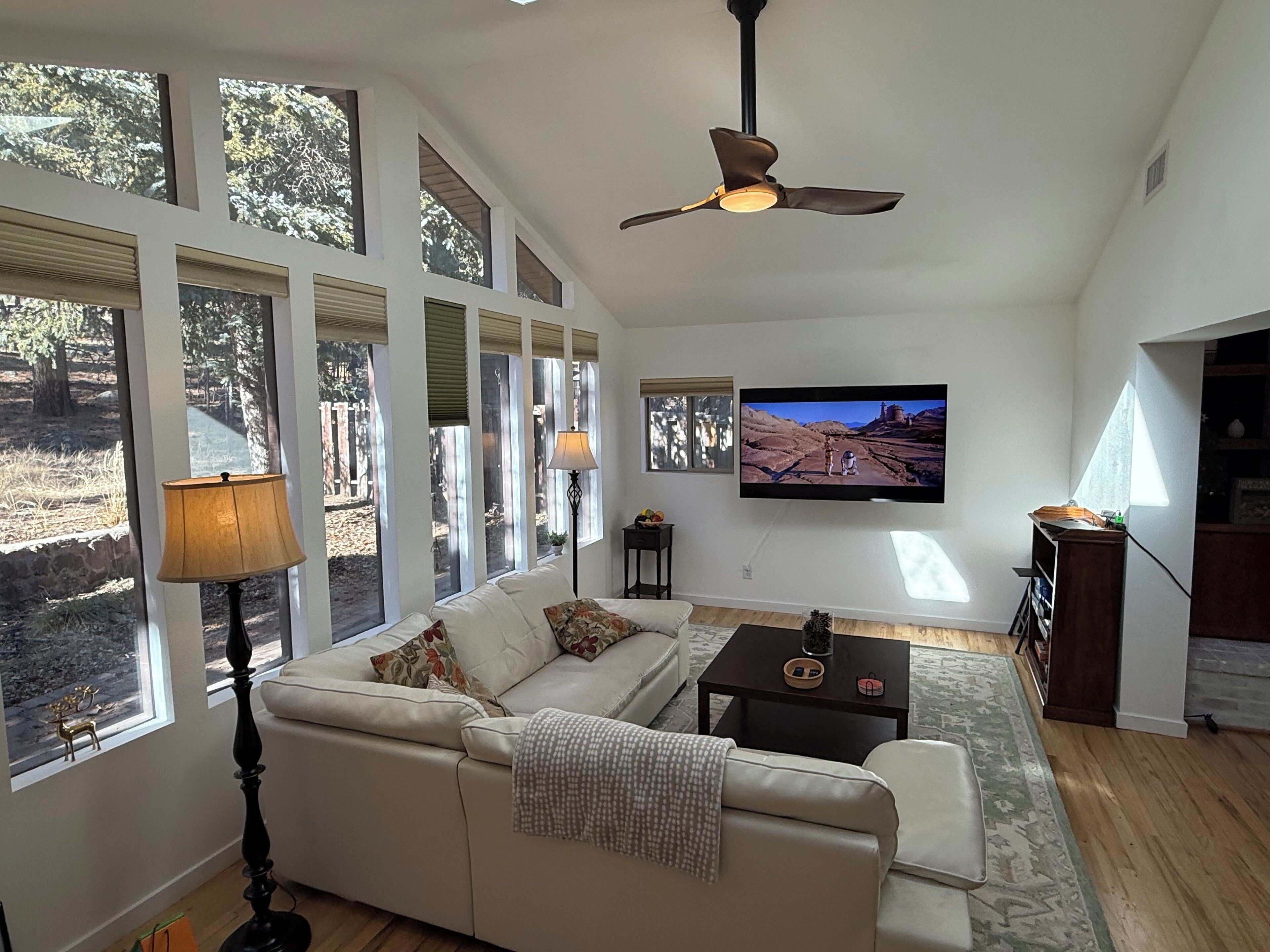 Smart TV, fireplace, DVD player, video library