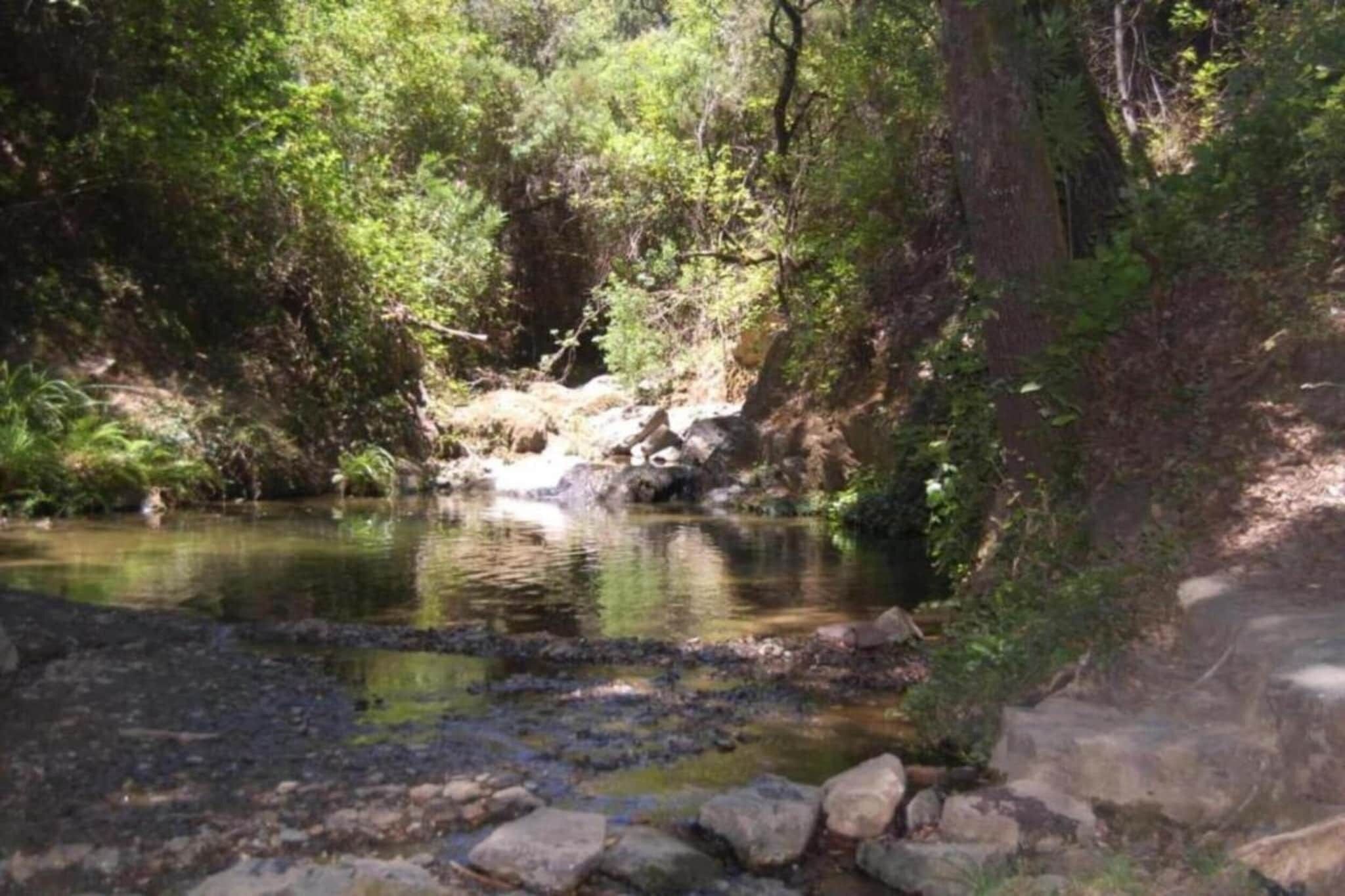 Entorno natural con un pequeño arroyo rodeado de rocas y abundante vegetación.