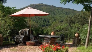 An outdoor patio with a table and chairs, surrounded by potted plants and barrels. - La Tortuga, Stone House in Alájar (Alájar)