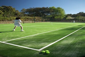 Sports court