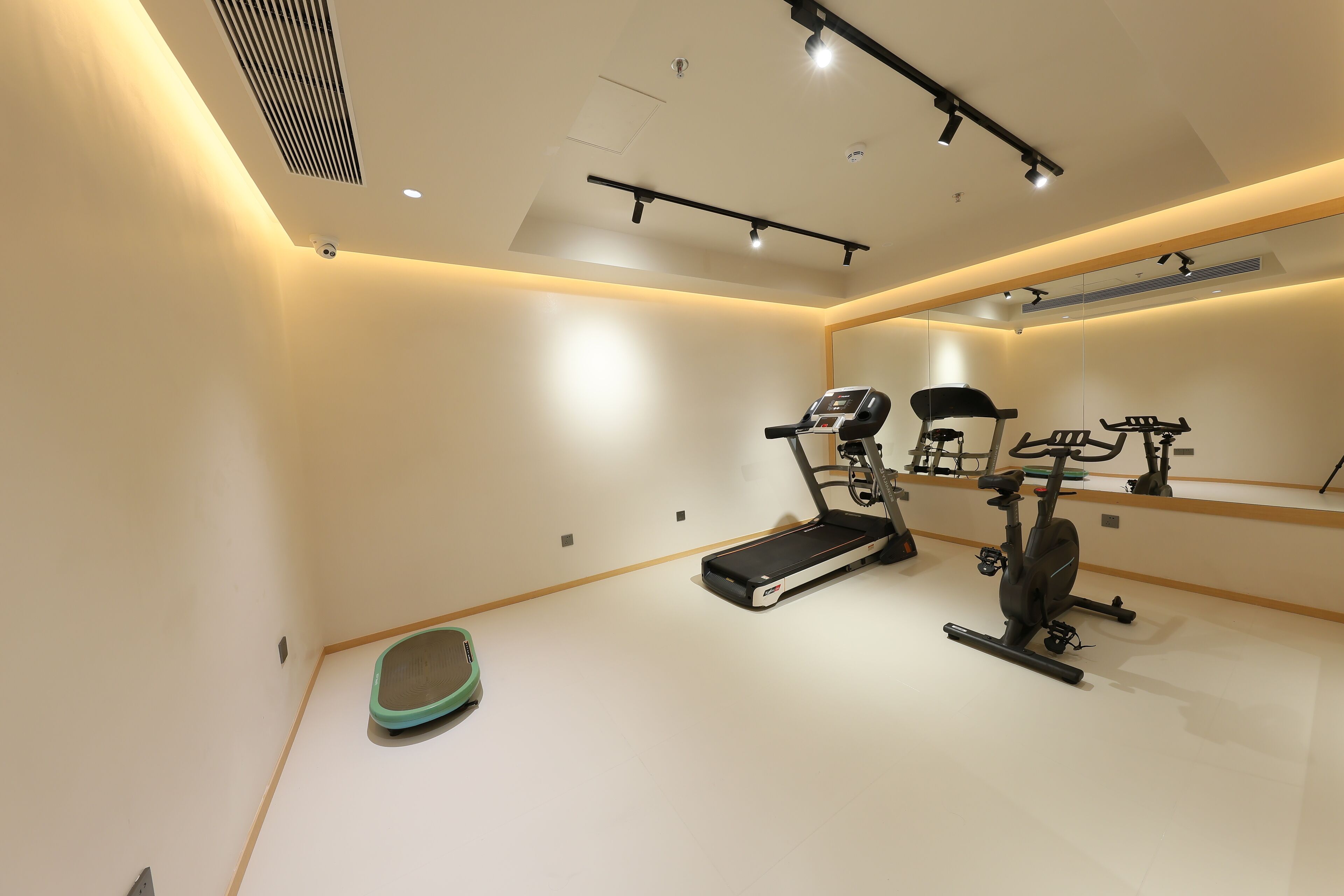 A modern gym with a treadmill, stationary bike, and a rowing machine.