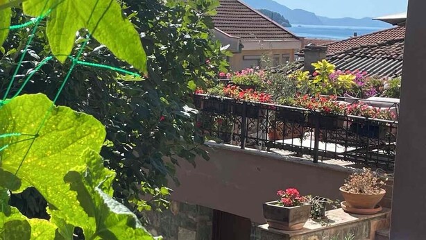 Een balkon met bloempotten en bloemen, een stenen muur, en een uitzicht op een berg en zee op de achtergrond.