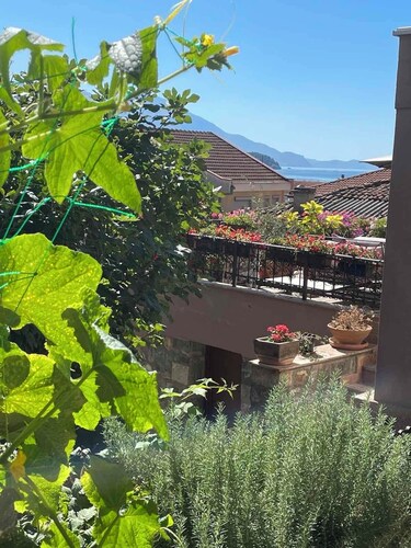 Shenk's apartment in charming Ohrid