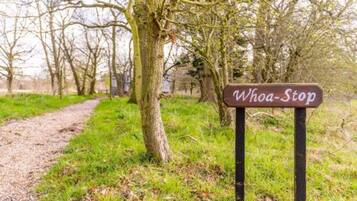 Apartemen | 1 kamar tidur