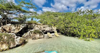Vistalmar Mini Studio in lovely Oranjestad with Private Plunge Pool, WiFi and AC