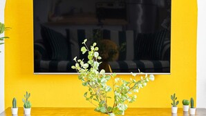 Ev | 2 yatak odası 