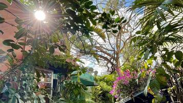 Un étroit sentier bordé d’une végétation luxuriante et de plantes en pot, qui mène à un bâtiment doté d’un toit végétalisé.
