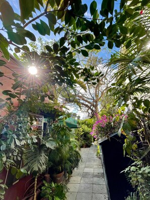 Apartment - Delight and Cozy Apt Close to Las Olas the Beach (Fort Lauderdale)