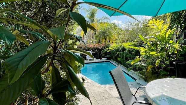 Una piscina rodeada de abundante vegetación, con un área de estar cubierta y un gran paraguas que da sombra.