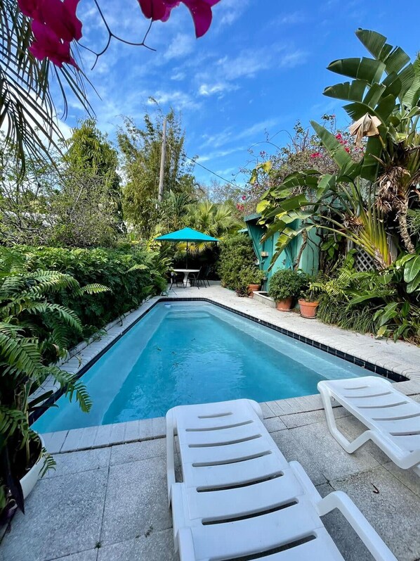 A swimming pool with lounge chairs, surrounded by lush greenery and a clear blue sky. - Delight and Cozy Apt Close to Las Olas the Beach (Fort Lauderdale)