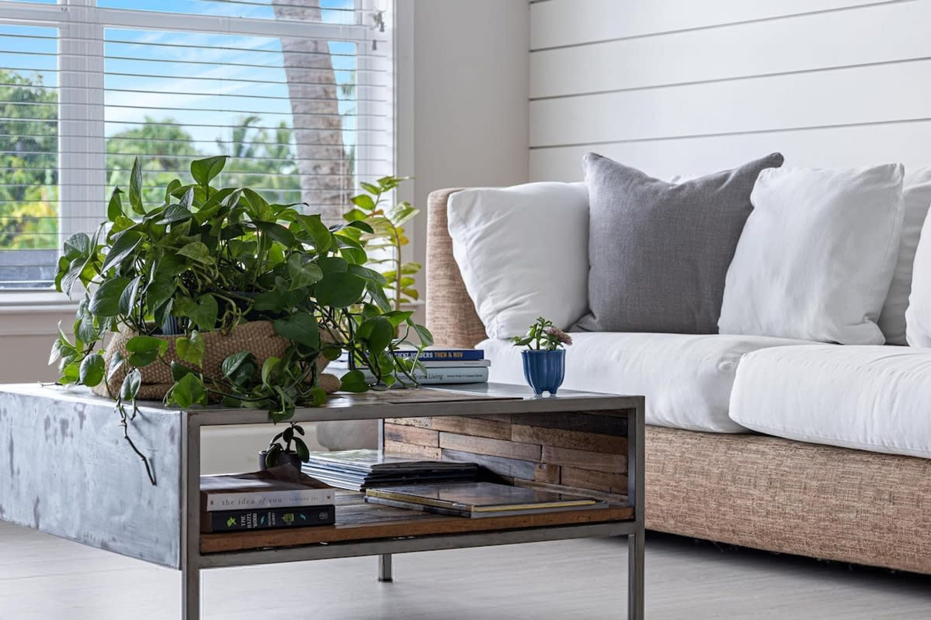 Ein modernes Wohnzimmer mit einer Couch, einem Couchtisch mit Pflanze und einem Fenster mit Jalousien.