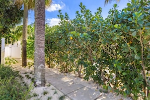 Escritorio y acceso a internet