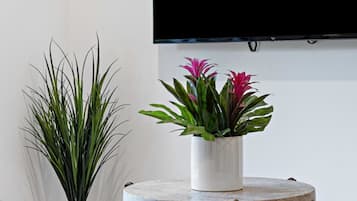 Apartment | 2 bedrooms, desk