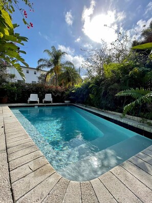 Une piscine rectangulaire à l’eau d’un bleu limpide, entourée d’une terrasse en pierre. On y trouve deux chaises longues blanches et, en arrière-plan, une végétation luxuriante comprenant des palmiers et des fougères.