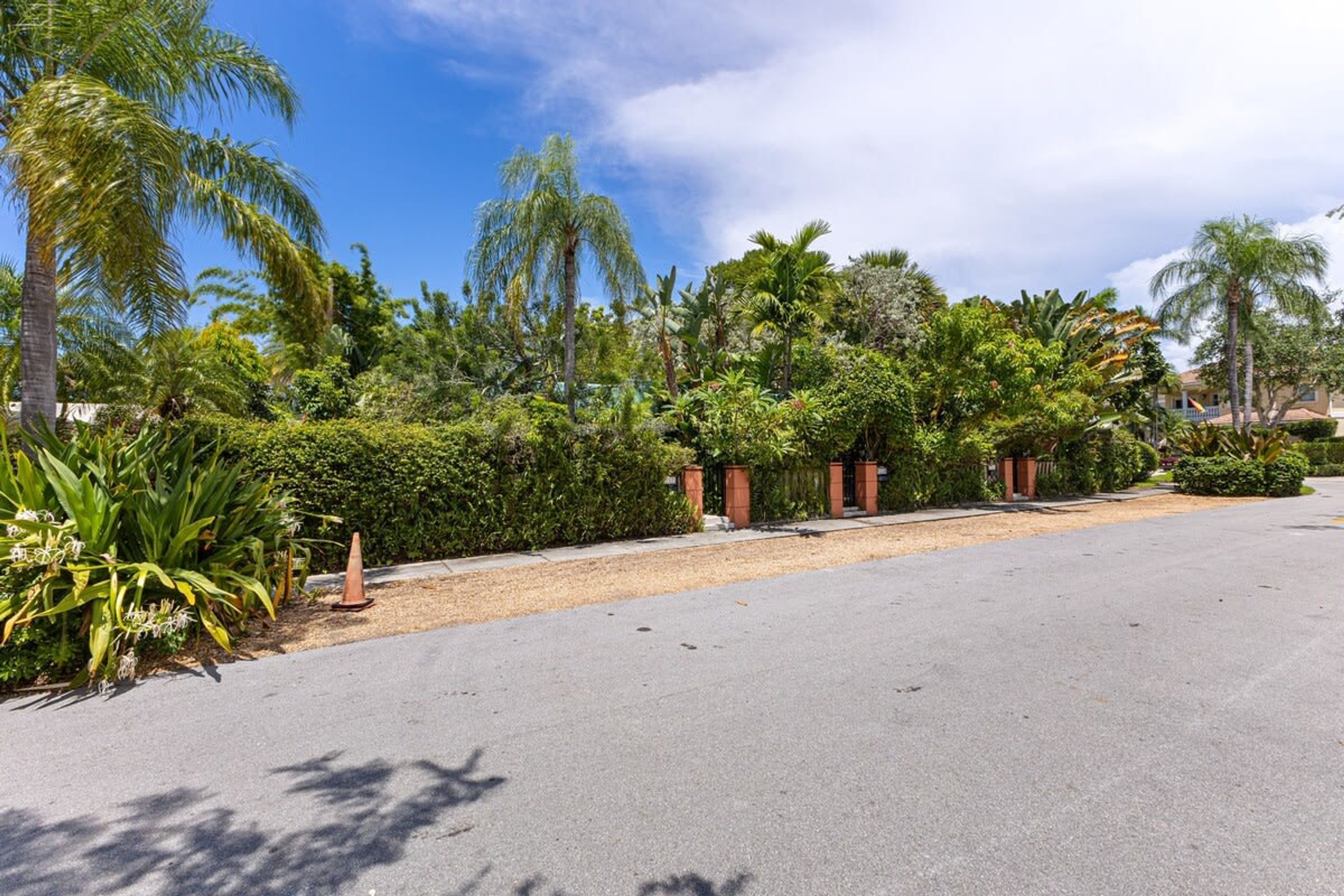 A quiet street lined with lush greenery and palm trees, leading to a building with a gated entrance.