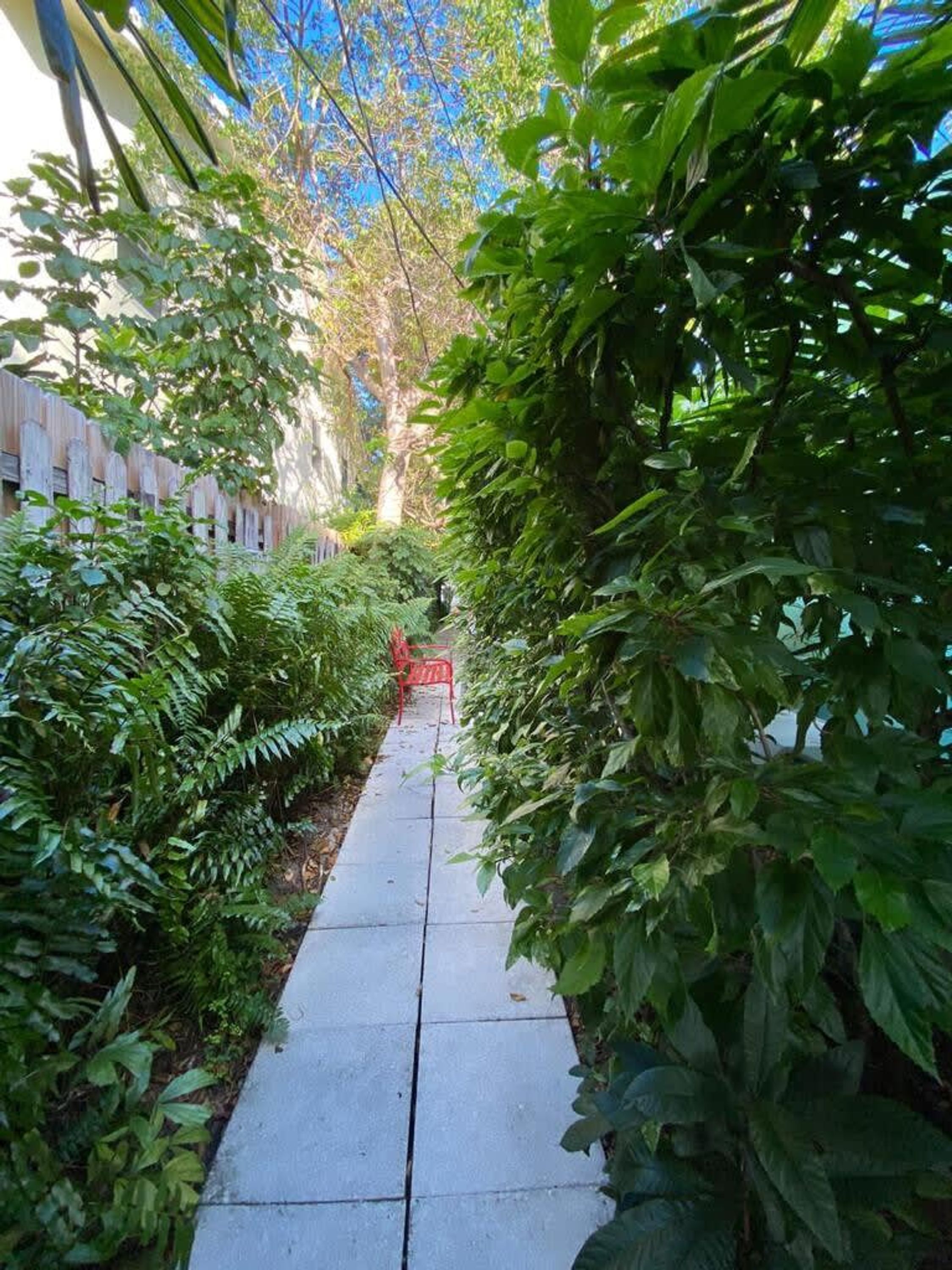 Ein schmaler Betonweg, gesäumt von dichtem Grün und einem Holzzaun.