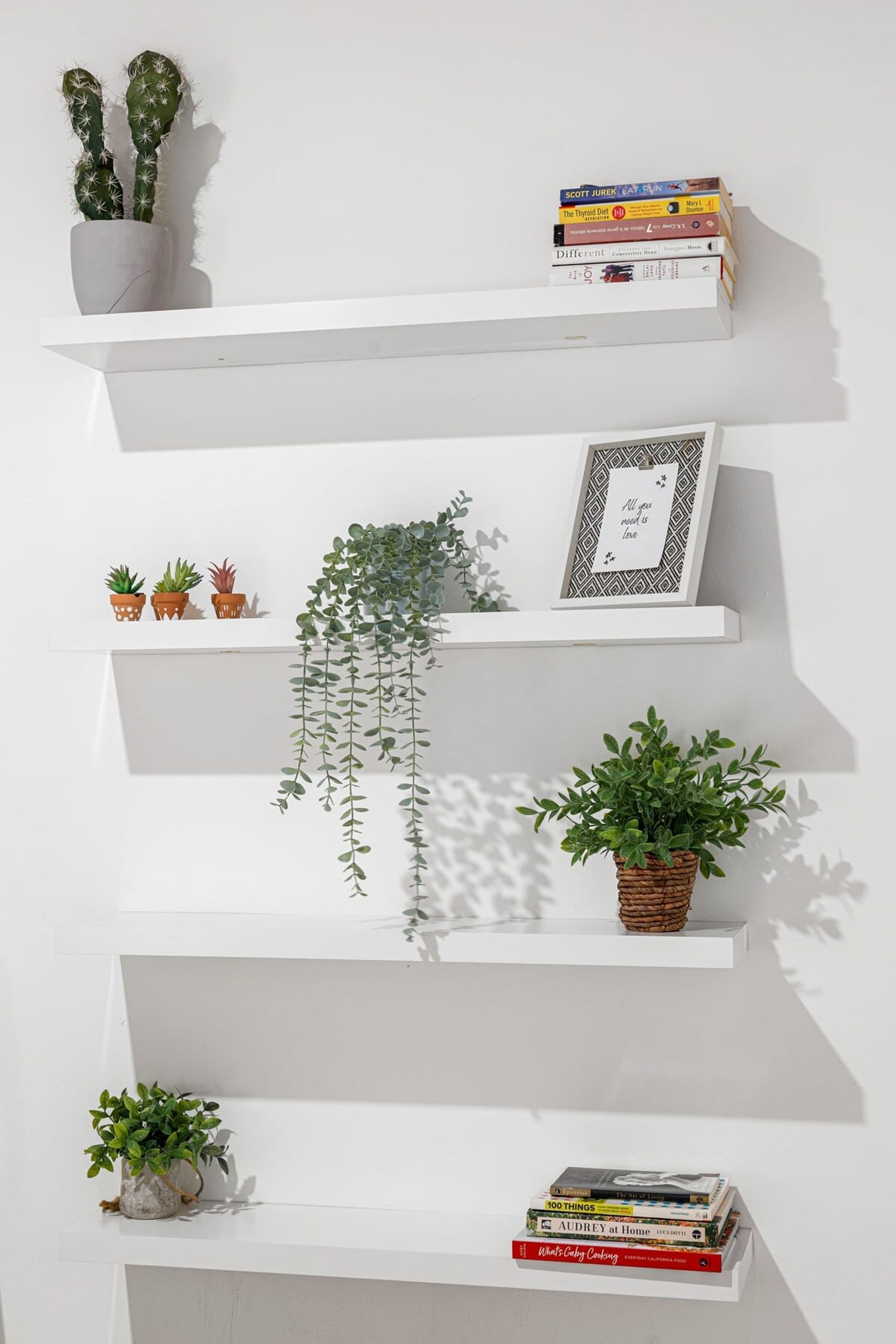A white wall with multiple shelves displaying plants and books.