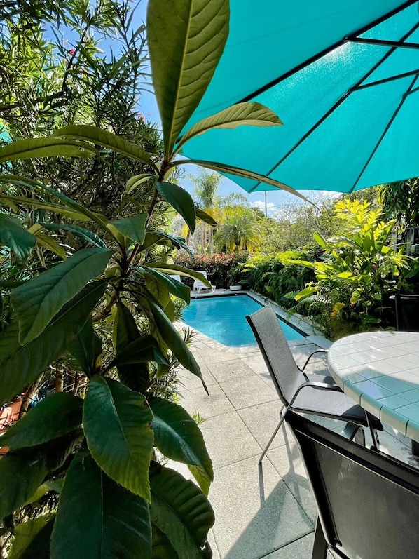 Apartment - Welcoming Airbnb Walkig Distance to Las Olas Blvd (Fort Lauderdale)