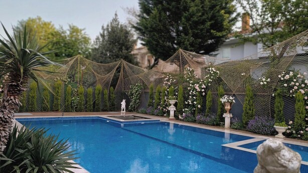 Une piscine à l’eau d’un bleu cristallin, entourée d’une végétation luxuriante et de plantes ornementales.