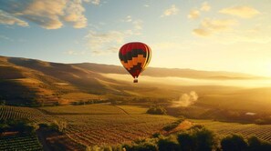 A hot air balloon over a vineyard landscape. - Hotel Les Deux Chevres Gevrey-Chambertin (Gevrey-Chambertin)