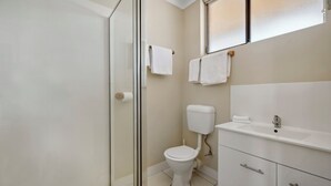 A bathroom with a glass shower enclosure, a toilet, a sink, and a mirror.