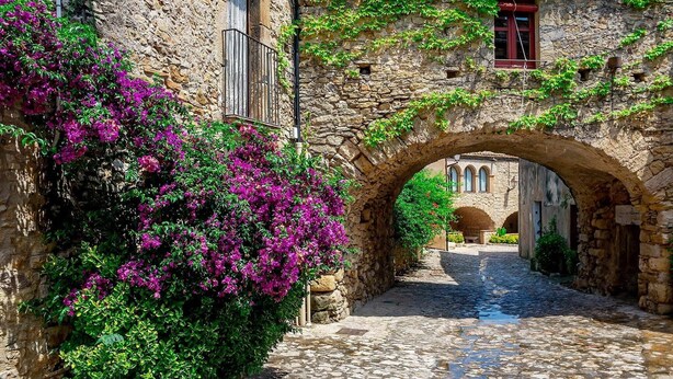 A stone archway in a narrow street with a building on the right and a bush with purple flowers on the left.
