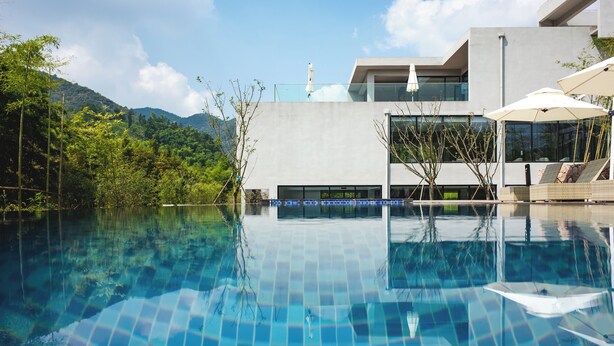 Un área de piscina moderna con agua azul cristalina, rodeada de abundante vegetación y un edificio contemporáneo con grandes ventanales y mobiliario exterior.