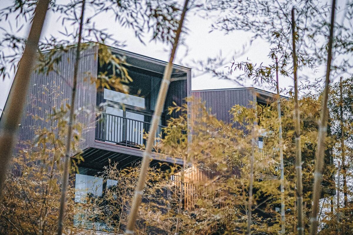 Un bâtiment moderne doté d’un balcon, entouré d’arbres.