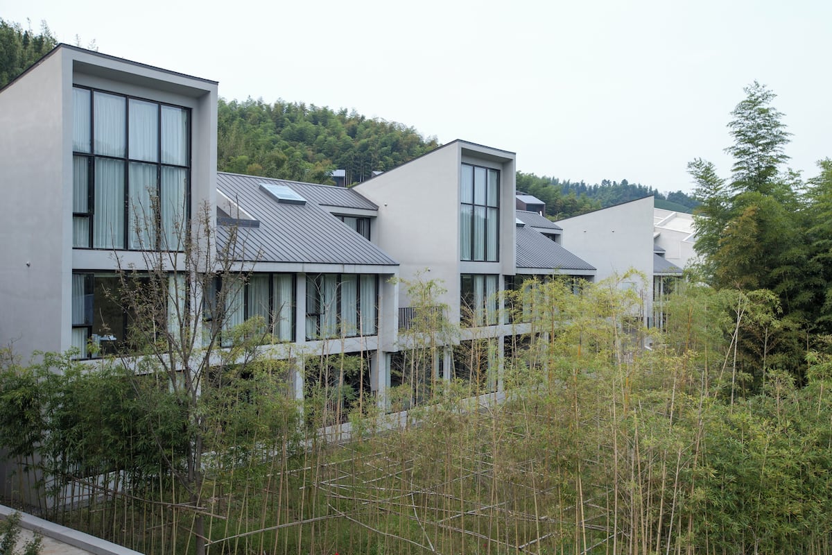 Une rangée de bâtiments modernes, dotés de grandes fenêtres et de toits plats, entourée d’une végétation luxuriante.